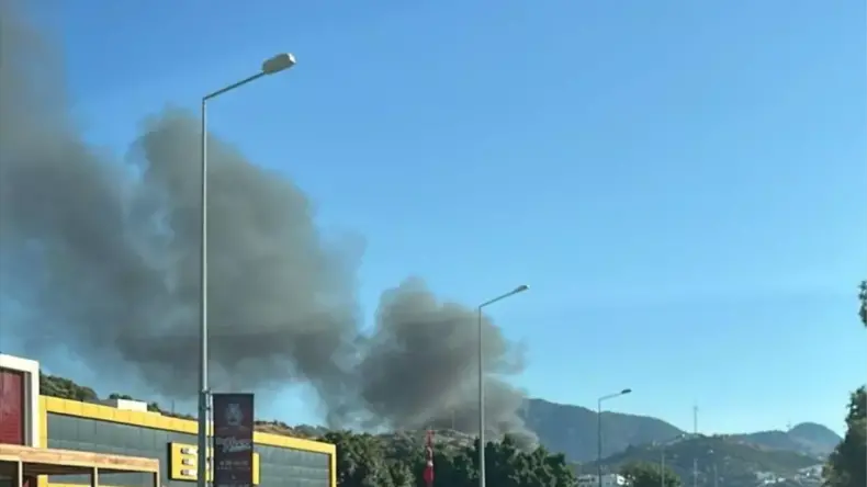 Bodrum’da Yangın Paniği