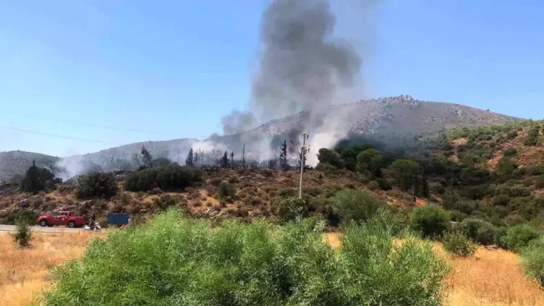 Datça’da Makilik Alanda Yangın Çıktı