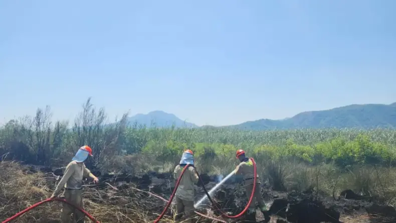 Köyceğiz’de Sazlık Yangını Kontrol Altında
